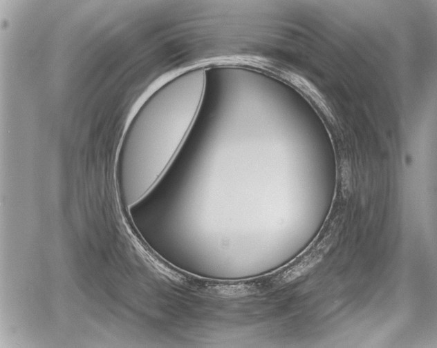 X0000060761428200511141219