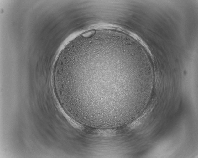 X0000060761429200511141219