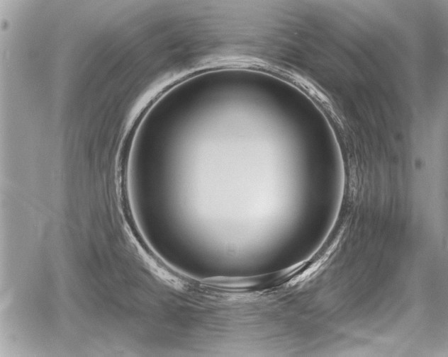 X0000060761430200511141219