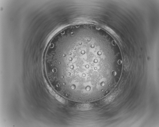 X0000060761431200511141219