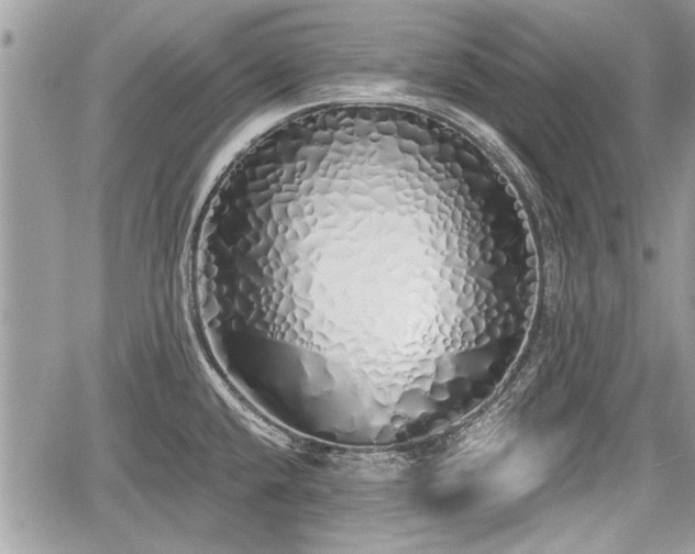 X0000060761432200511141219