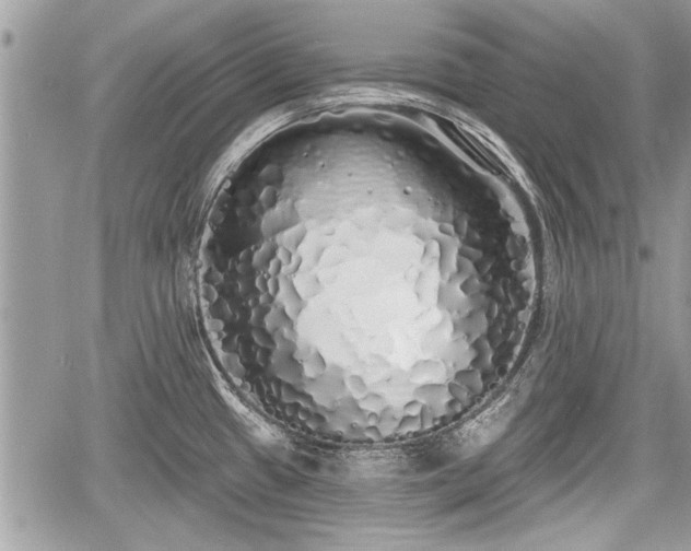 X0000060761433200511141219