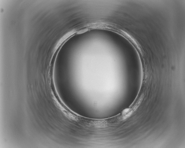 X0000060761434200511141219