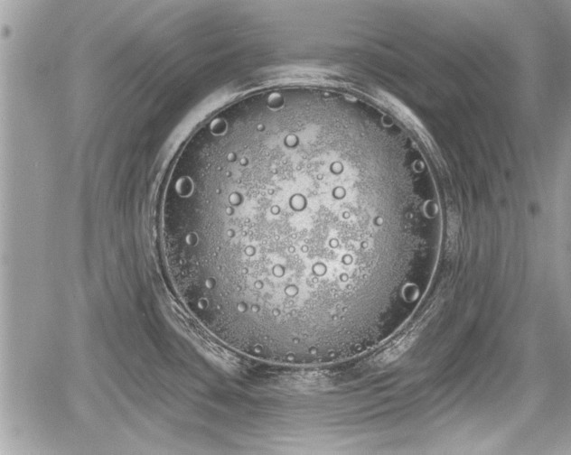 X0000060761435200511141219