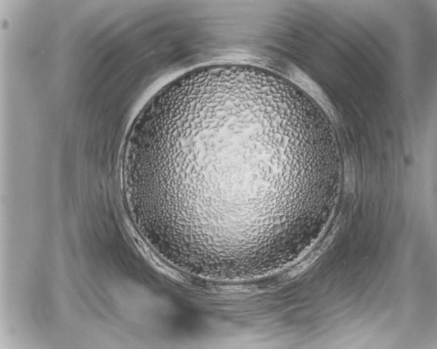 X0000060761436200511141219