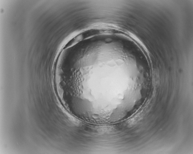 X0000060761437200511141219