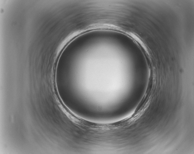 X0000060761438200511141219