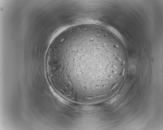 X0000060761439200511141219