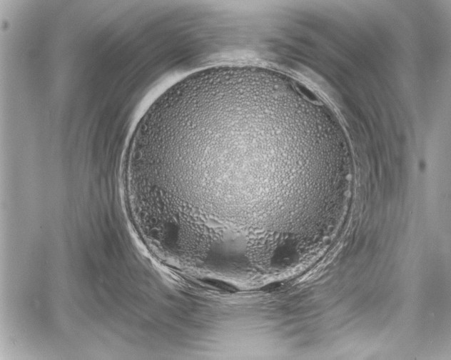 X0000060761440200511141219