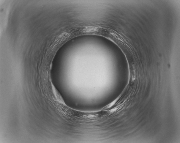 X0000060761441200511141219