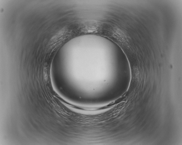 X0000060761442200511141219