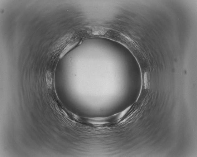 X0000060761443200511141219