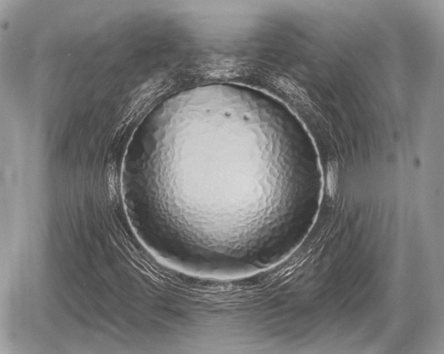 X0000060761444200511141219