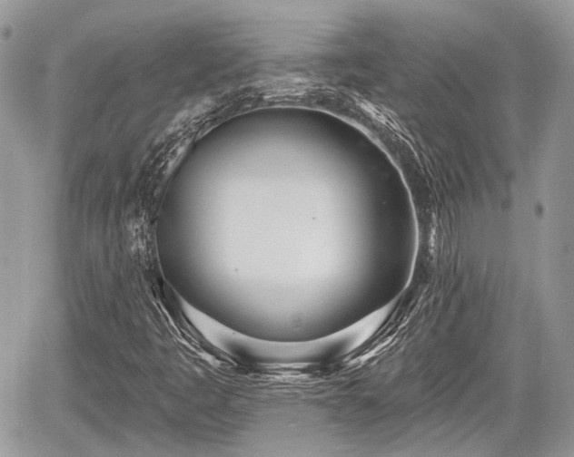 X0000060761445200511141219