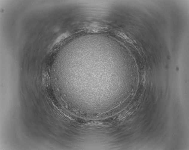 X0000060761446200511141219