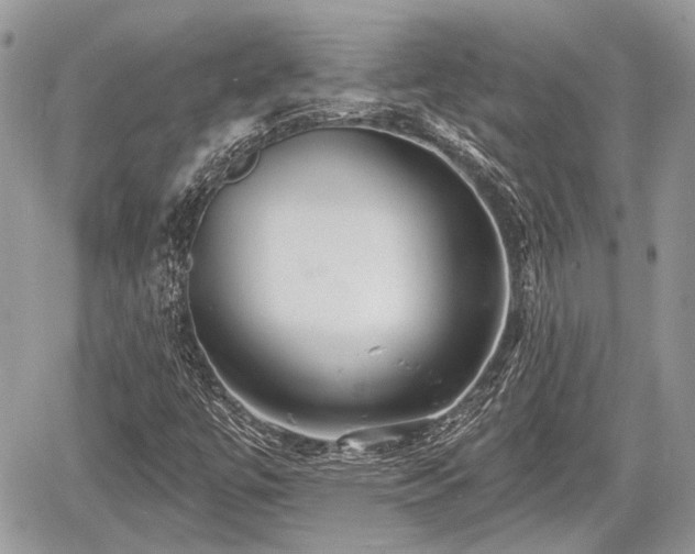 X0000060761447200511141219