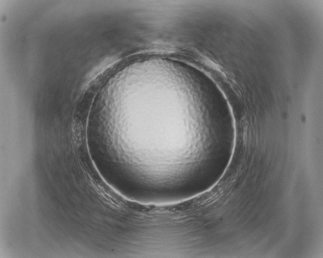 X0000060761448200511141219