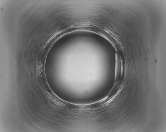 X0000060761449200511141219