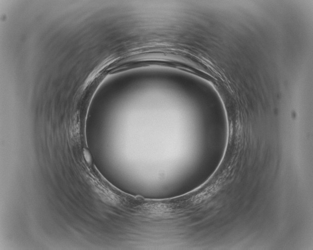 X0000060761450200511141218