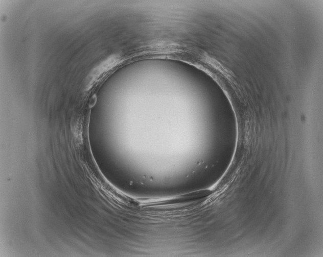 X0000060761451200511141218