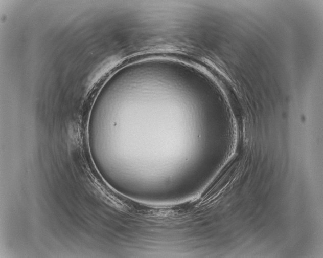 X0000060761452200511141218