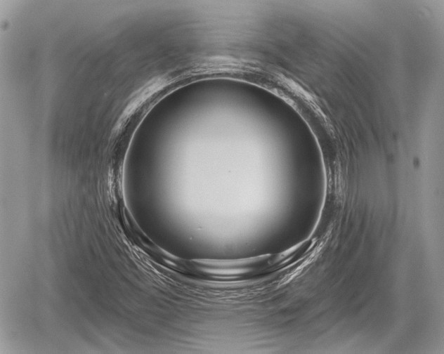 X0000060761453200511141218