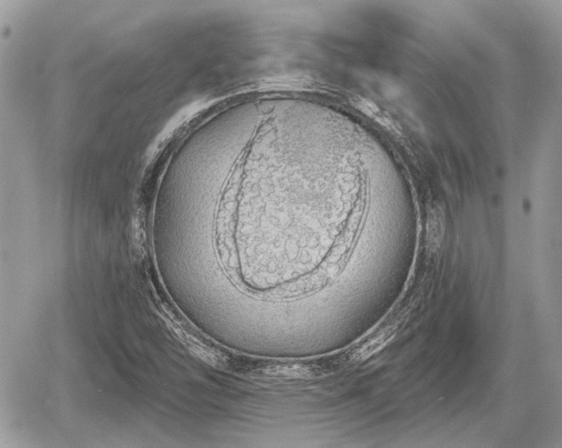 X0000060761454200511141218