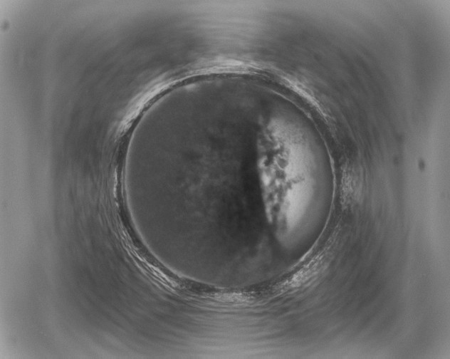 X0000060761455200511141218