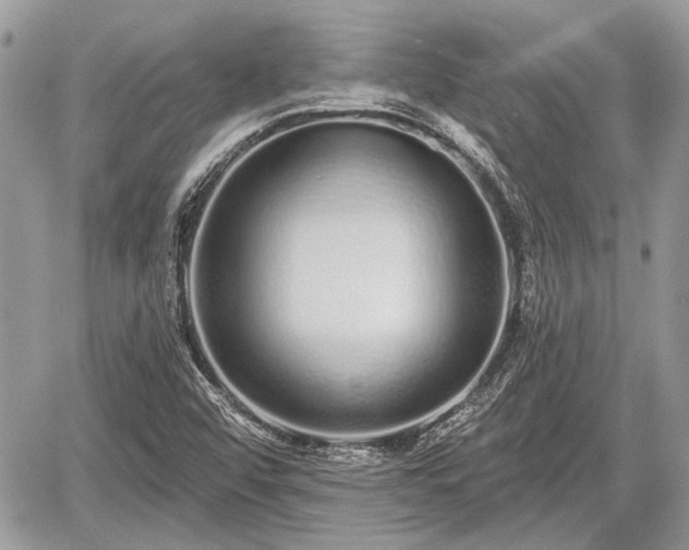 X0000060761456200511141218