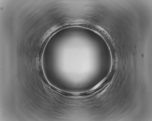 X0000060761457200511141218