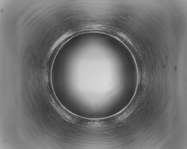 X0000060761458200511141218