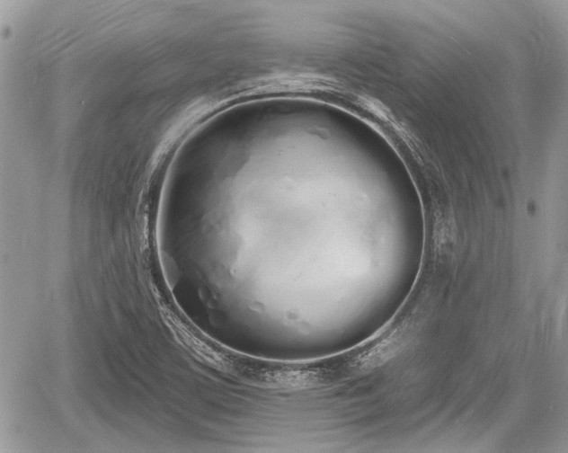 X0000060761459200511141218