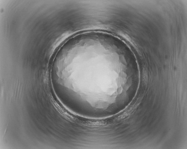 X0000060761460200511141218