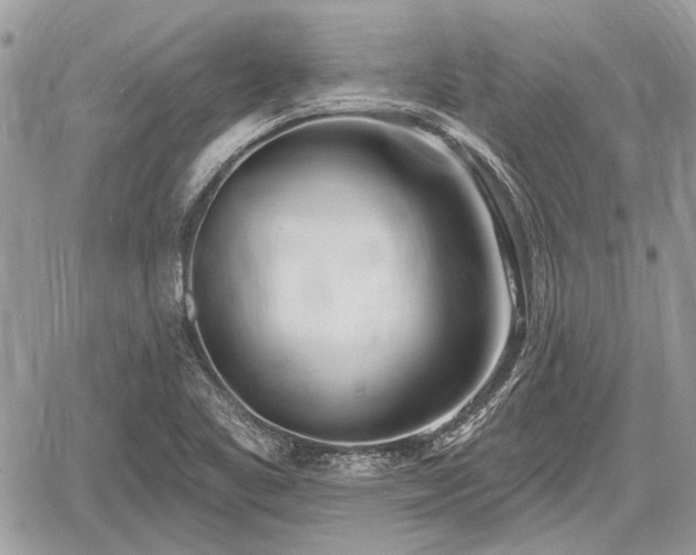 X0000060761461200511141218