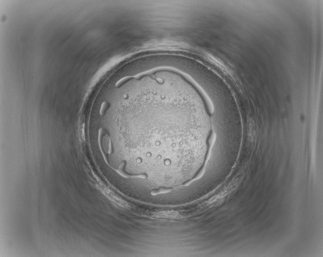 X0000060761462200511141218