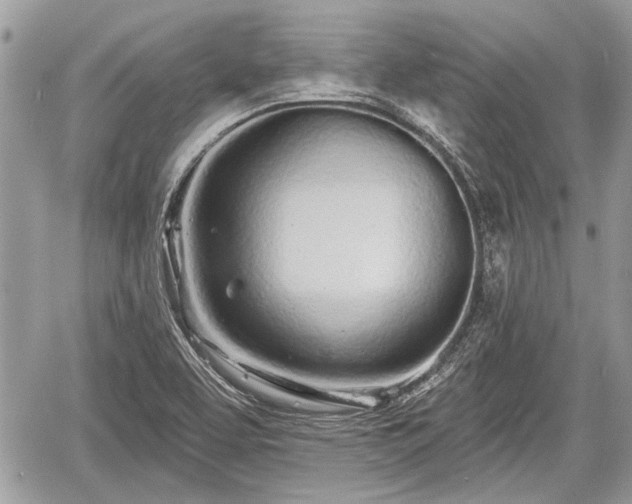 X0000060761463200511141218