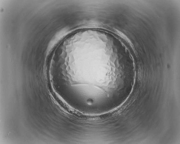 X0000060761464200511141218