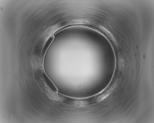 X0000060761465200511141218