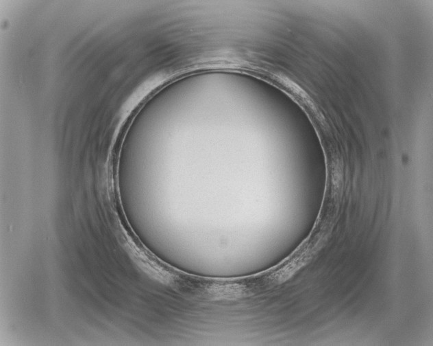 X0000060761466200511141218