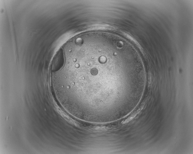 X0000060761467200511141218