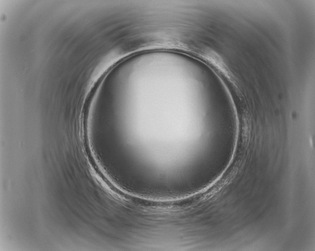 X0000060761468200511141218