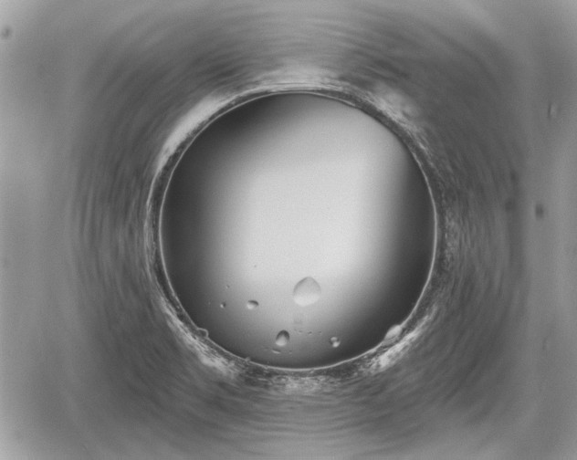 X0000060761469200511141218