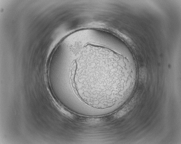 X0000060761470200511141218