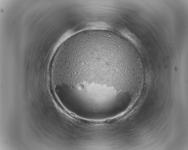 X0000060761471200511141218