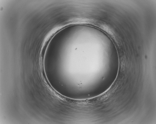 X0000060761472200511141218