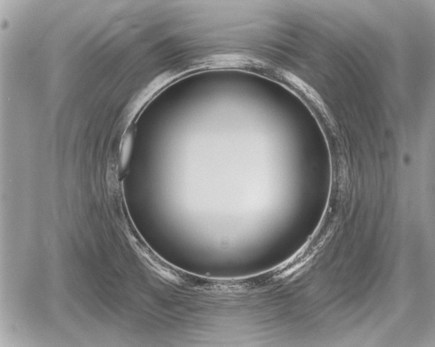 X0000060761473200511141218