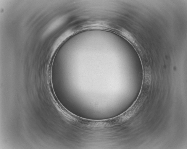 X0000060761474200511141218