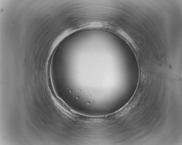 X0000060761475200511141218