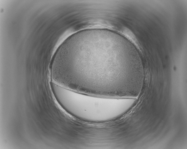 X0000060761476200511141218