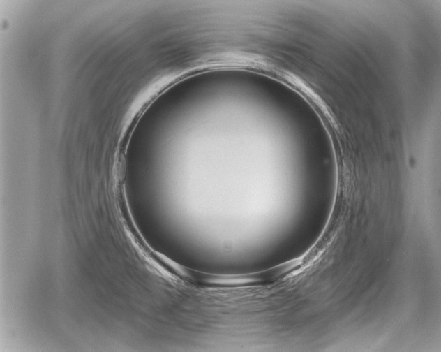 X0000060761477200511141218